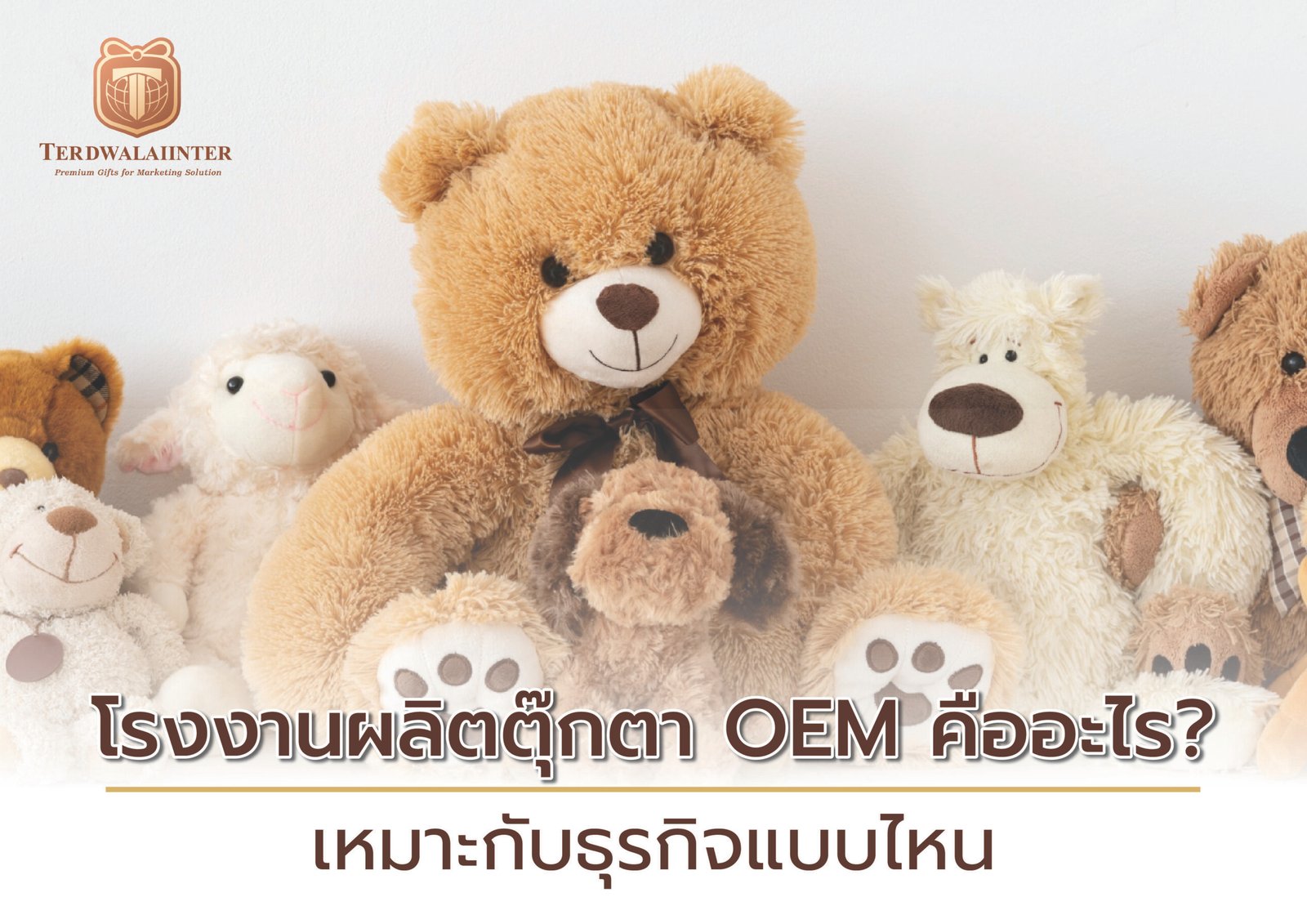 โรงงานผลิตตุ๊กตา OEM คืออะไร? เหมาะกับธุรกิจแบบไหน